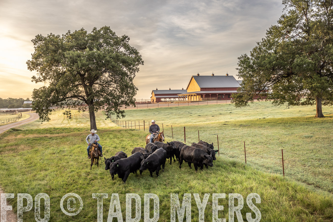 TMyers_Cameron_June2022-529513