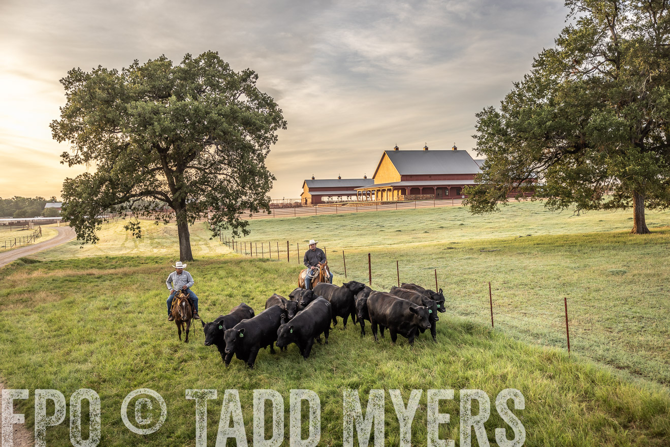 TMyers_Cameron_June2022-529515