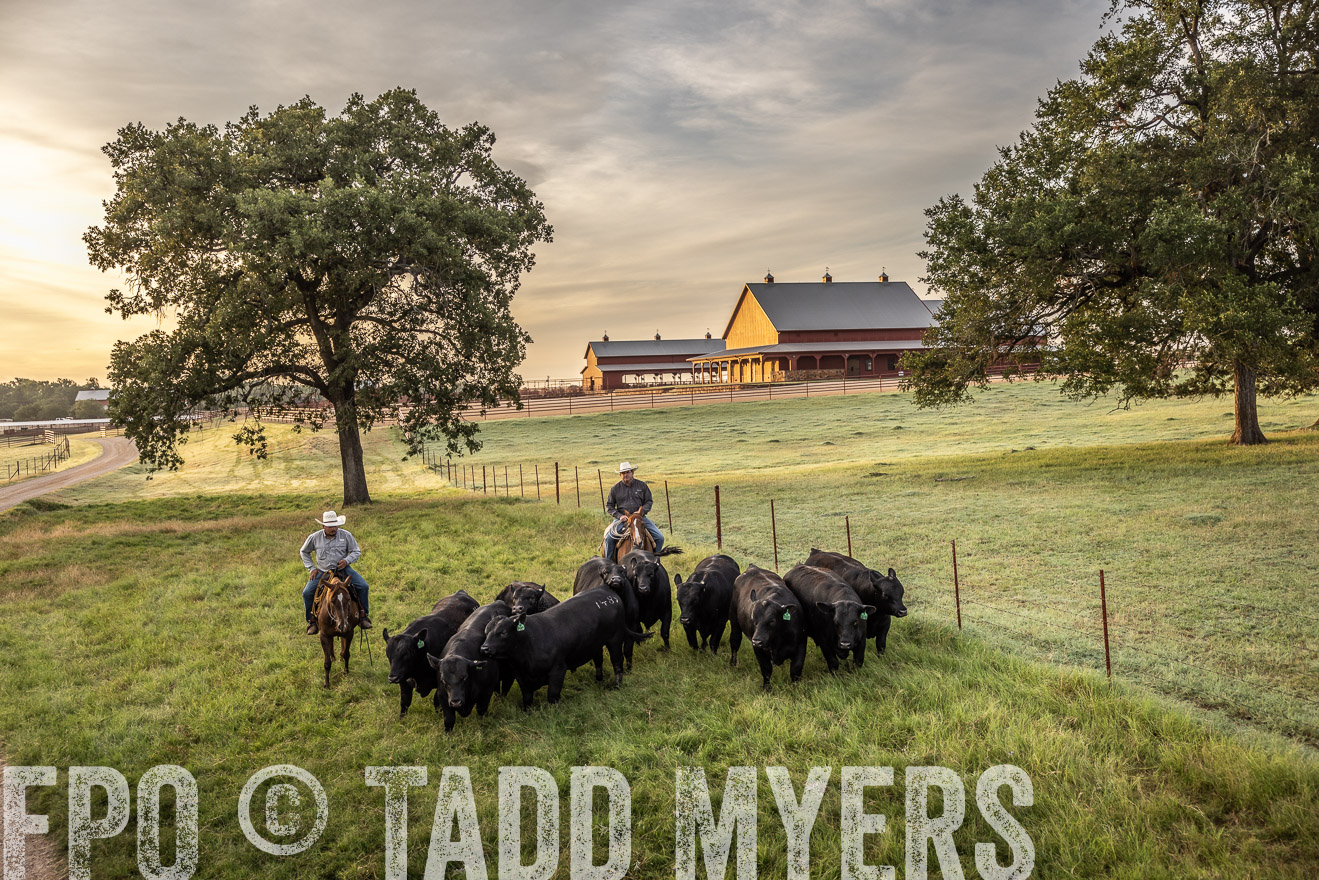 TMyers_Cameron_June2022-529519