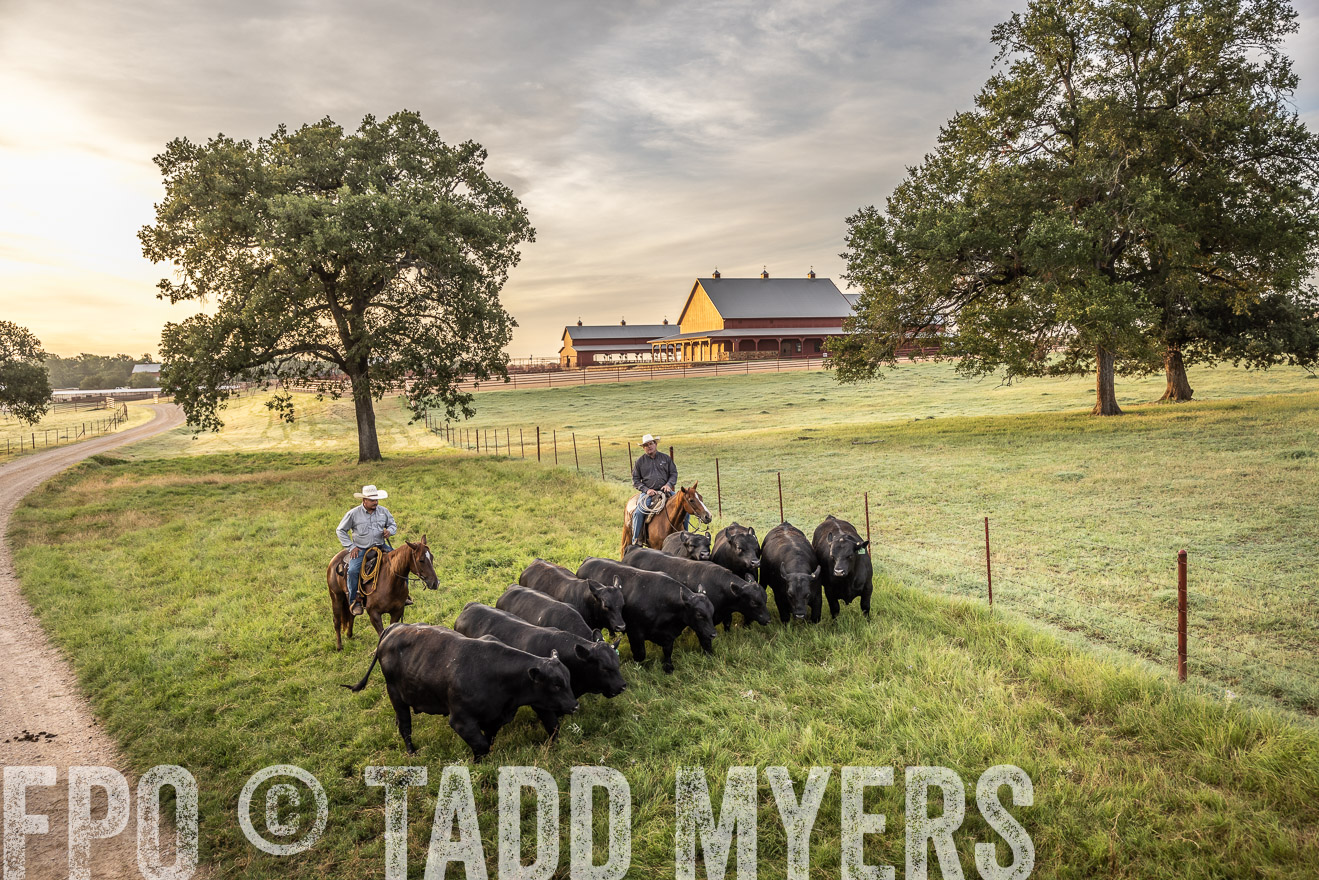 TMyers_Cameron_June2022-529534
