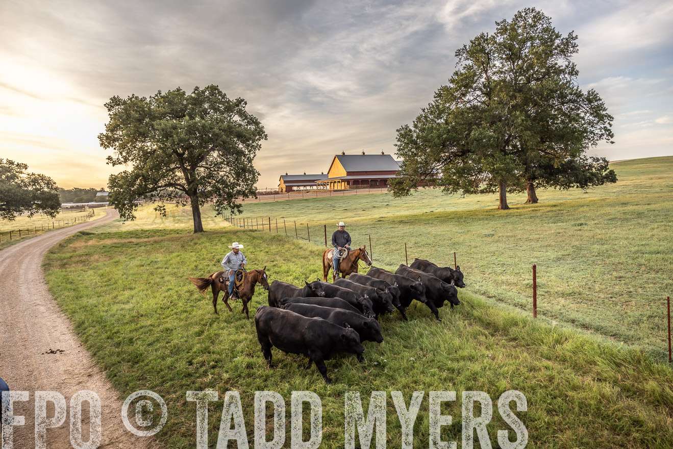 TMyers_Cameron_June2022-529540