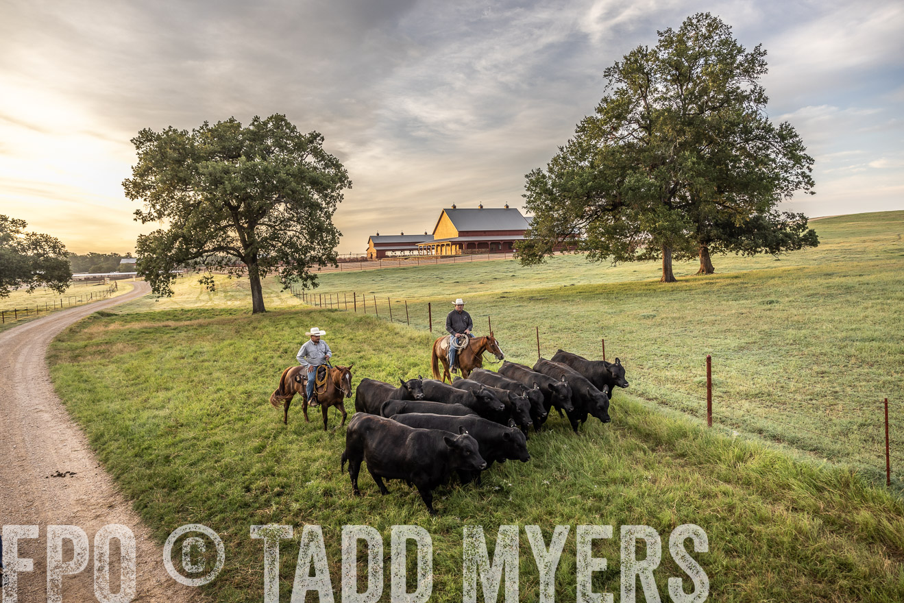 TMyers_Cameron_June2022-529541