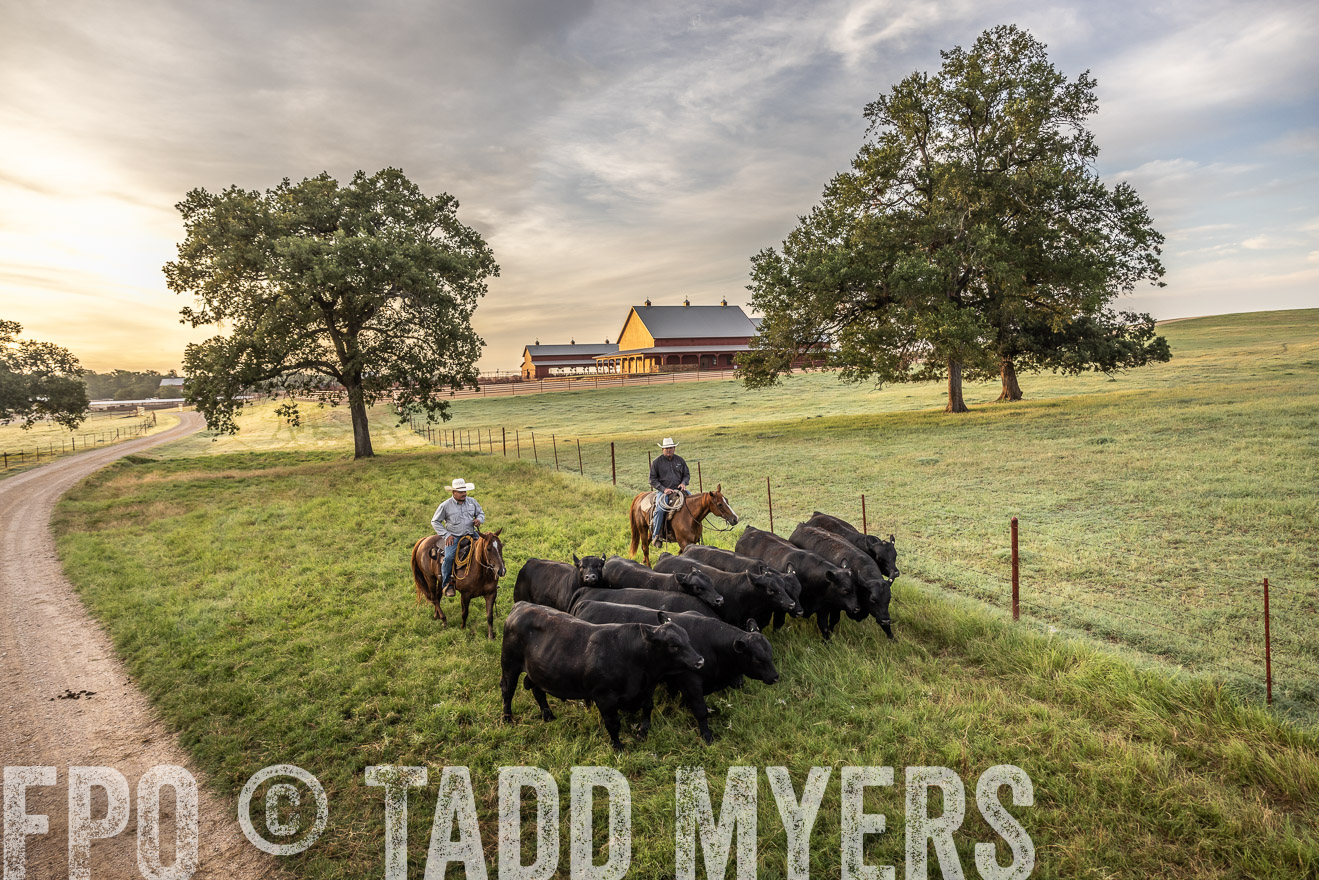 TMyers_Cameron_June2022-529542