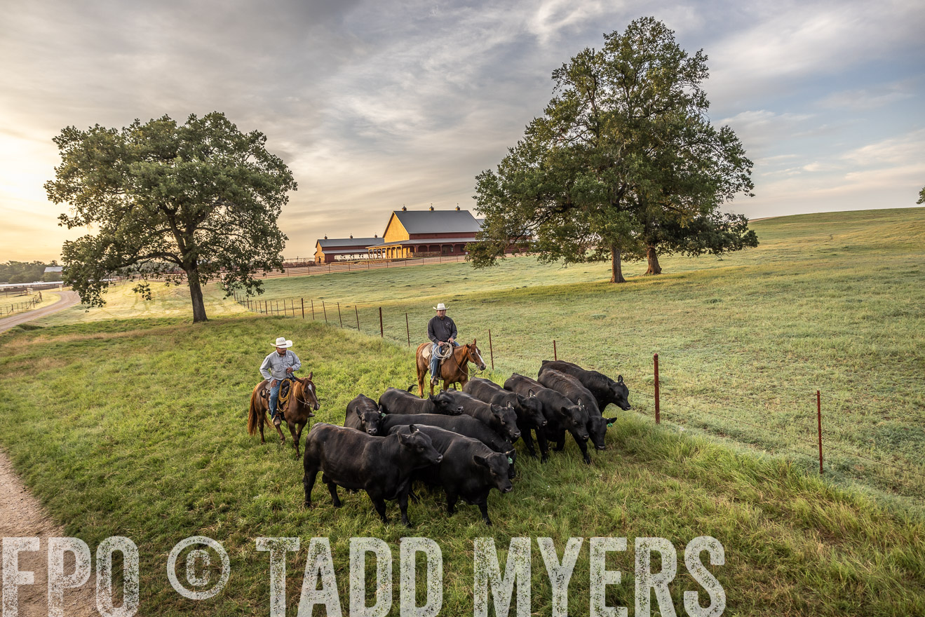 TMyers_Cameron_June2022-529545