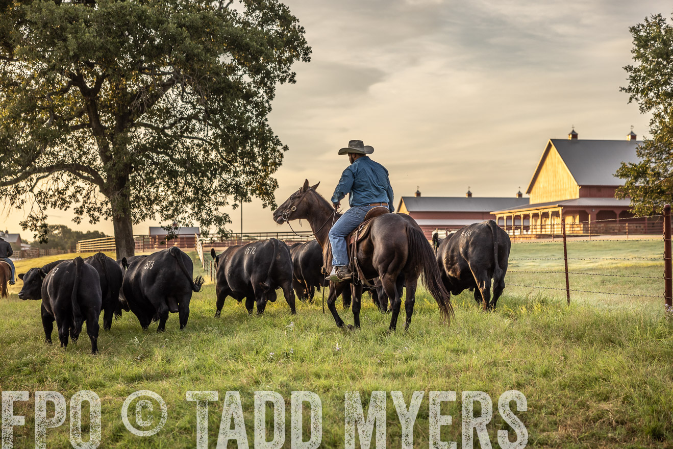 TMyers_Cameron_June2022-529574