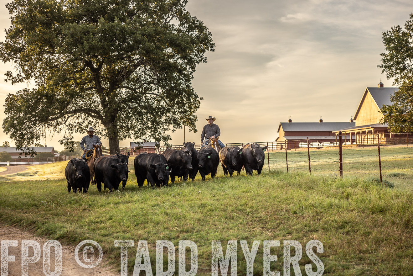 TMyers_Cameron_June2022-529581