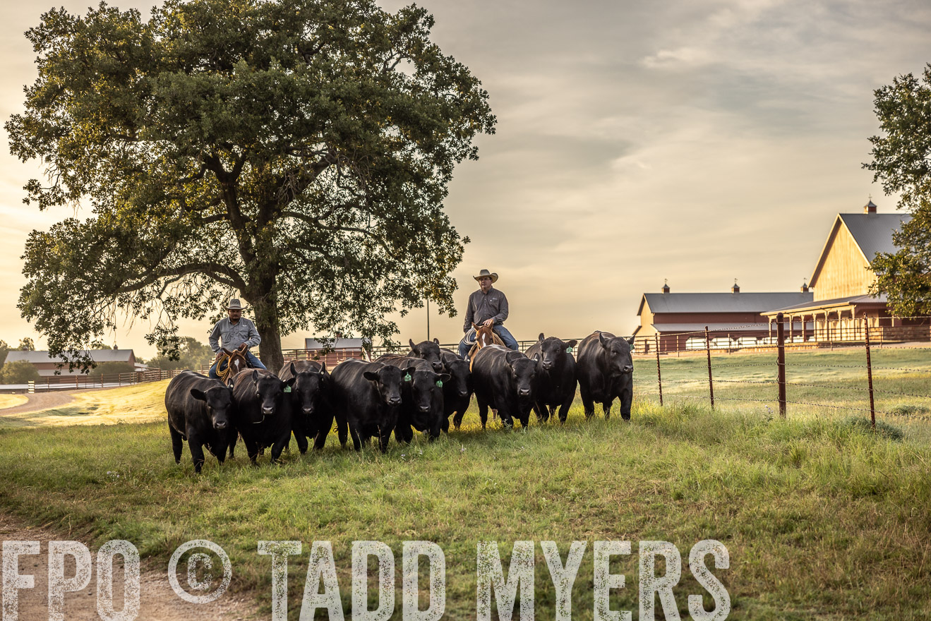 TMyers_Cameron_June2022-529583