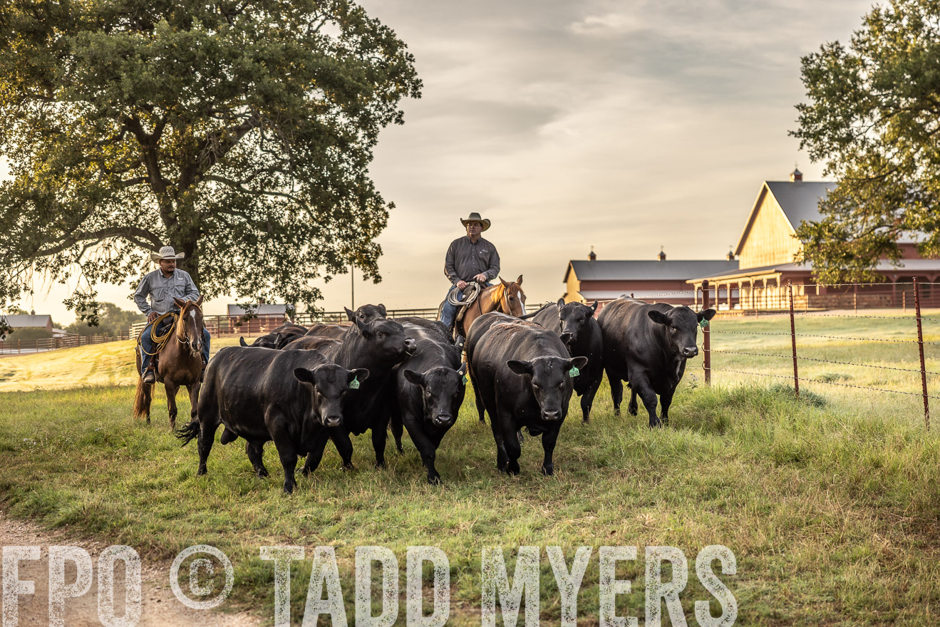 TMyers_Cameron_June2022-529588