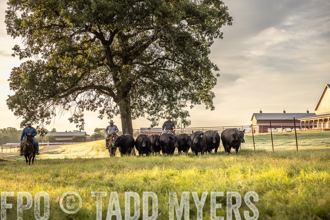 TMyers_Cameron_June2022-529615
