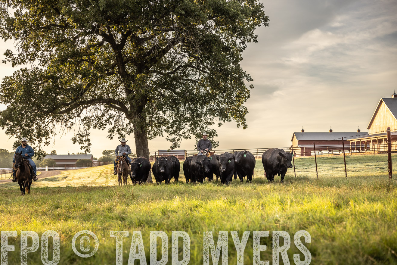 TMyers_Cameron_June2022-529616