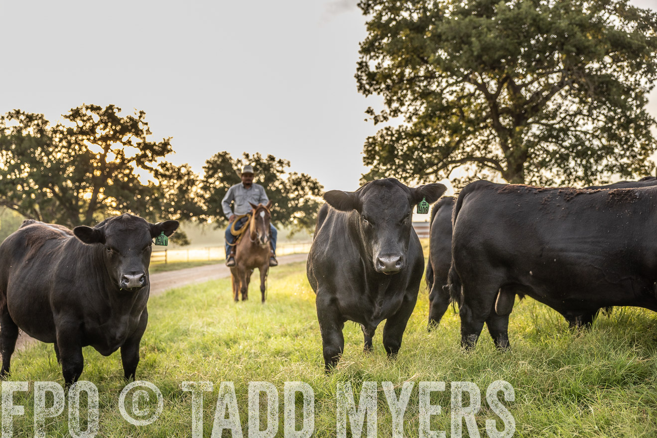 TMyers_Cameron_June2022-529682