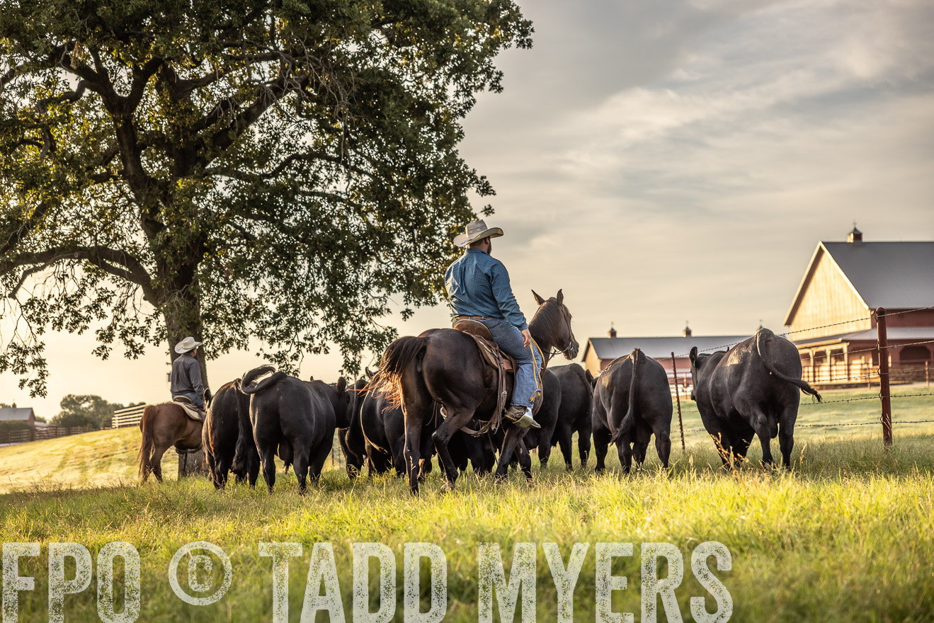 TMyers_Cameron_June2022-529698