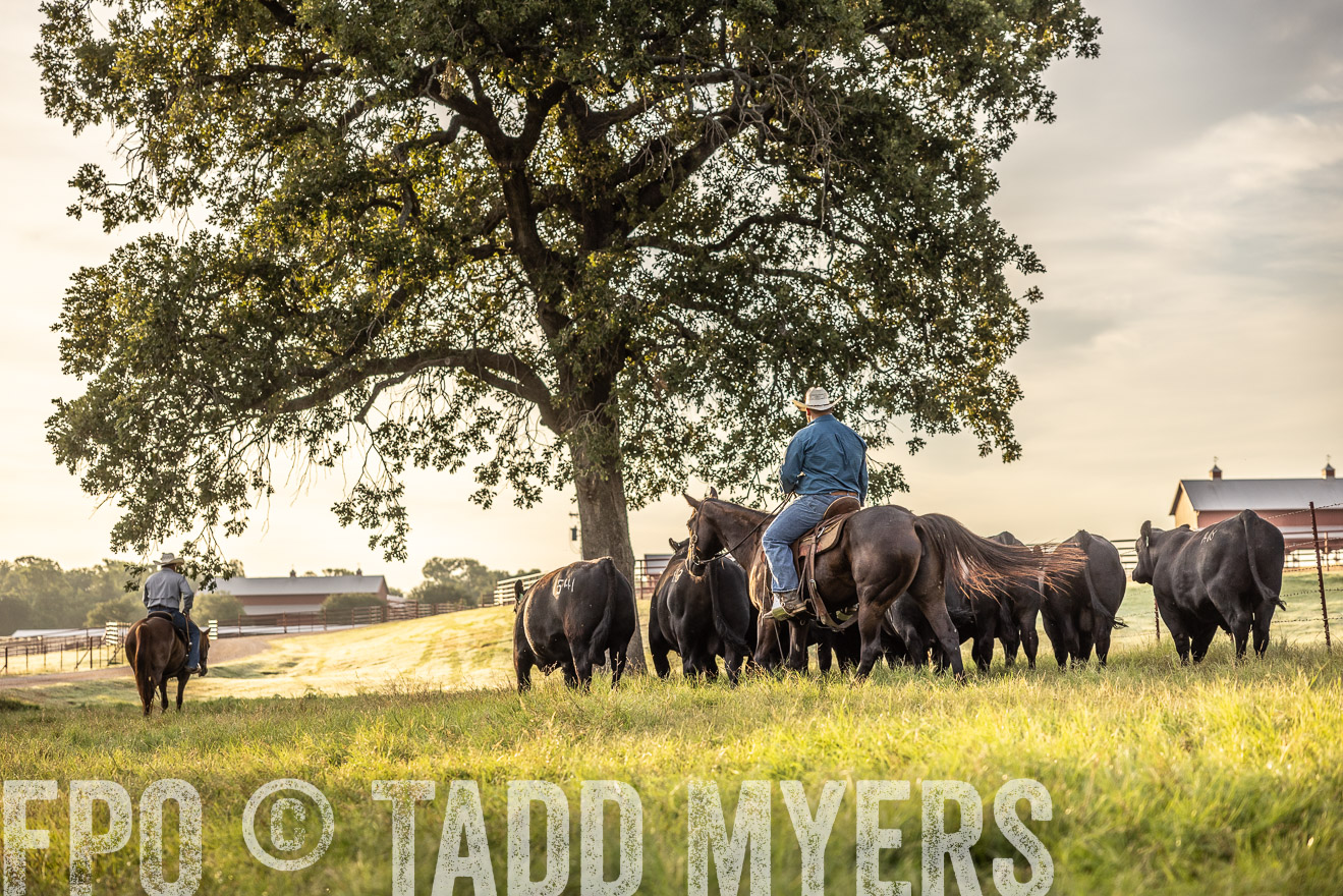 TMyers_Cameron_June2022-529705