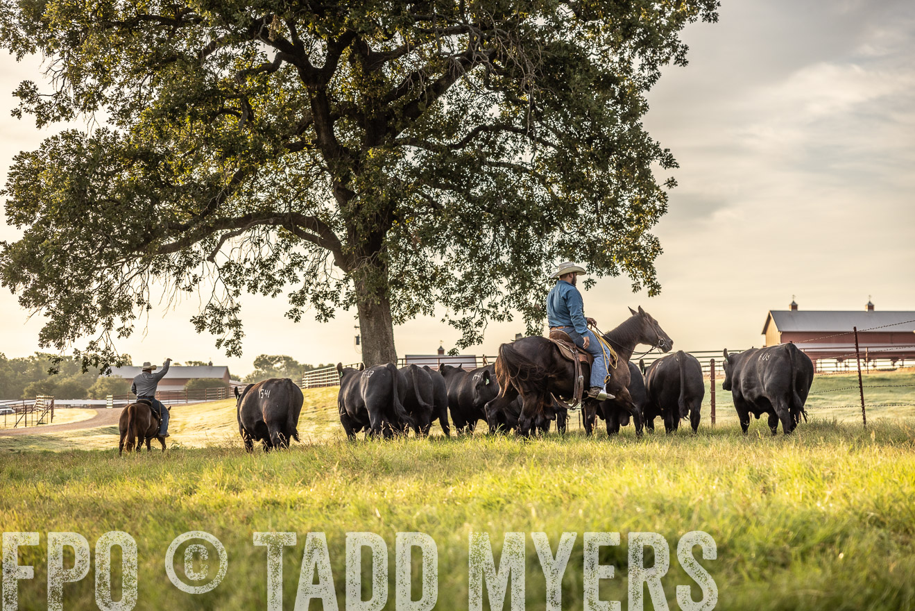 TMyers_Cameron_June2022-529708