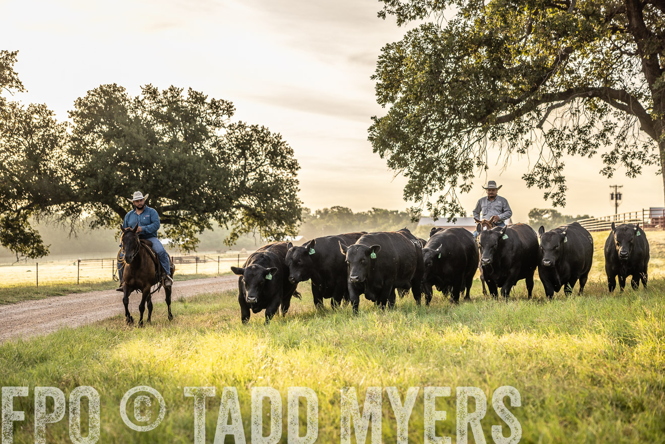 TMyers_Cameron_June2022-529713