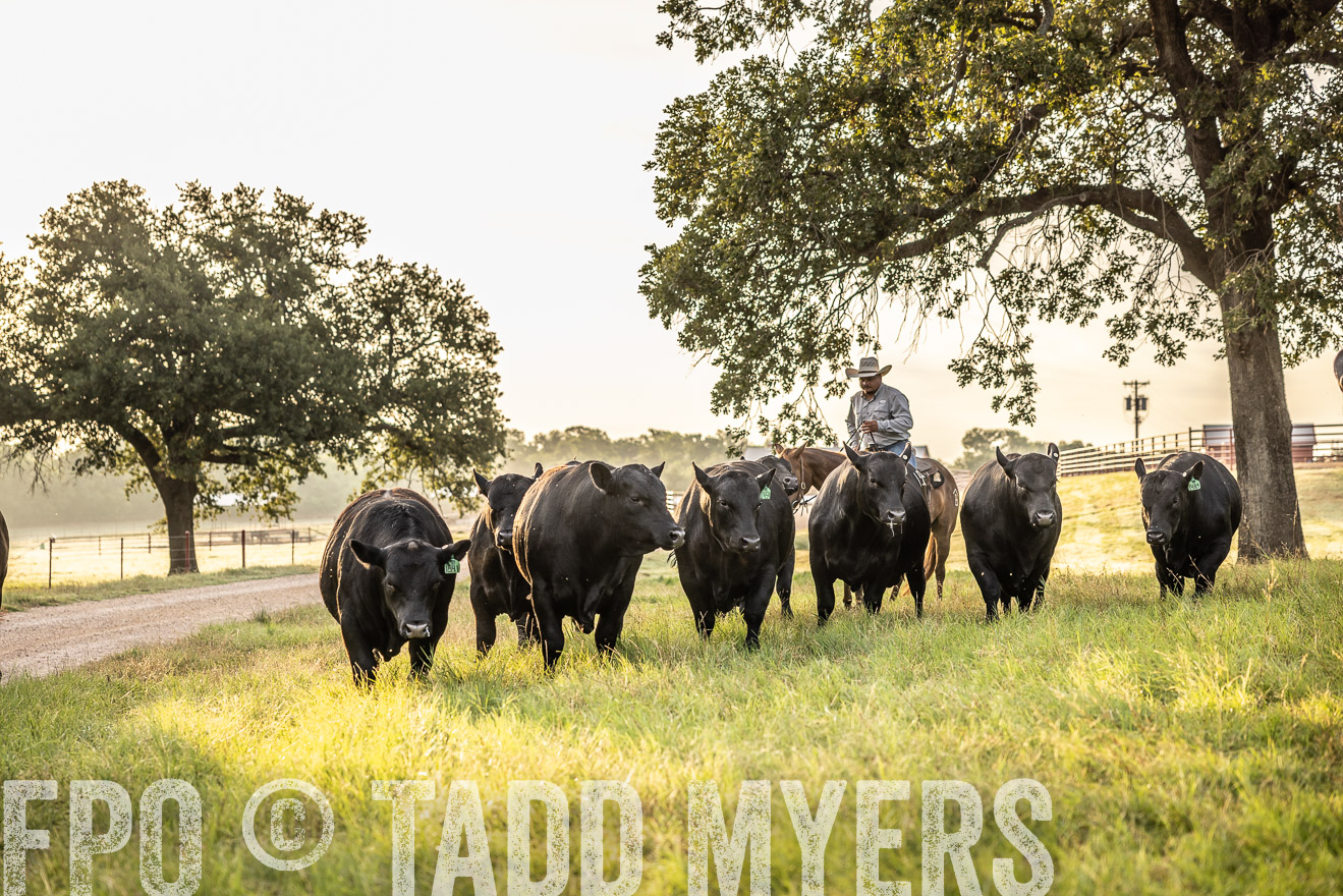 TMyers_Cameron_June2022-529716
