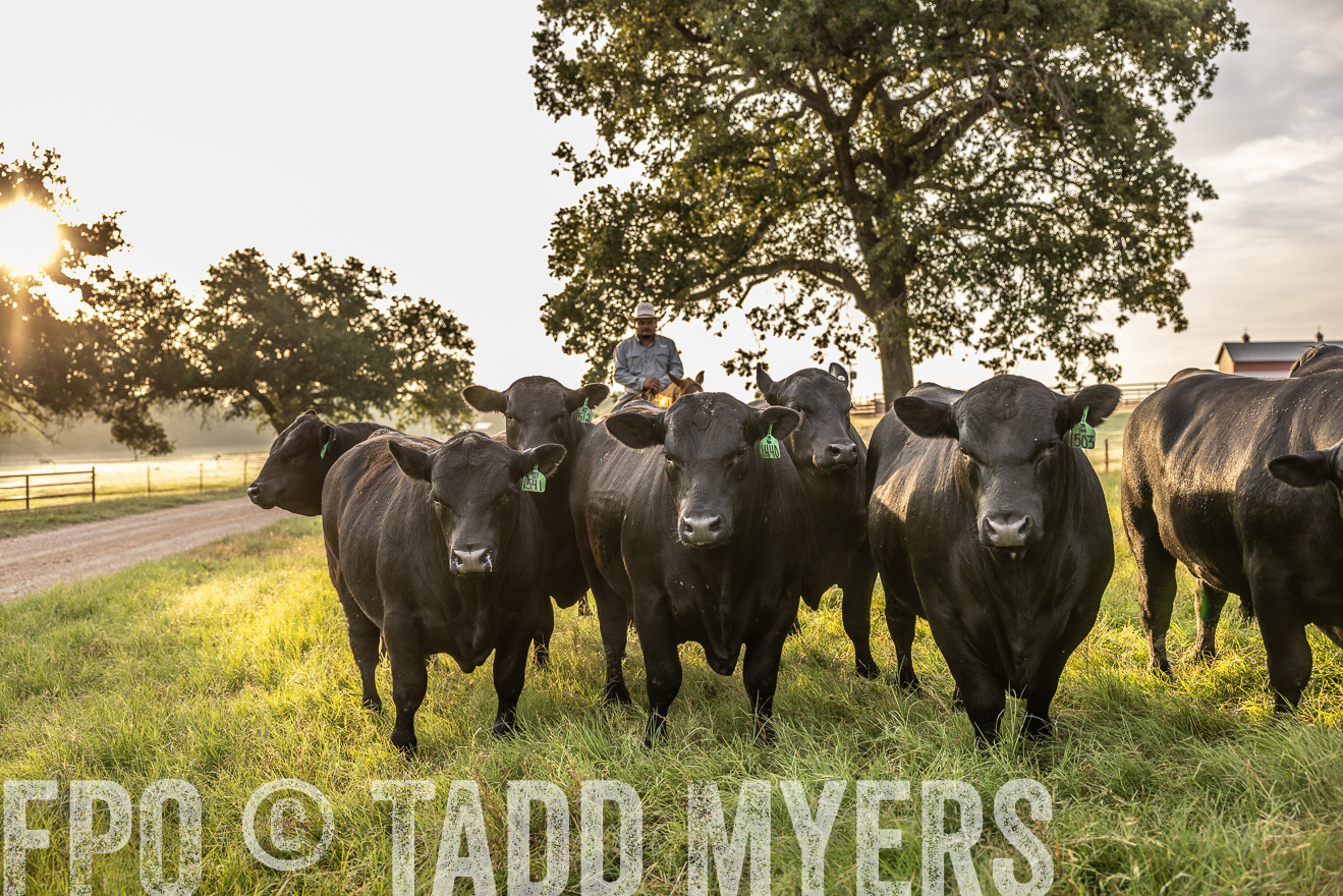 TMyers_Cameron_June2022-529756