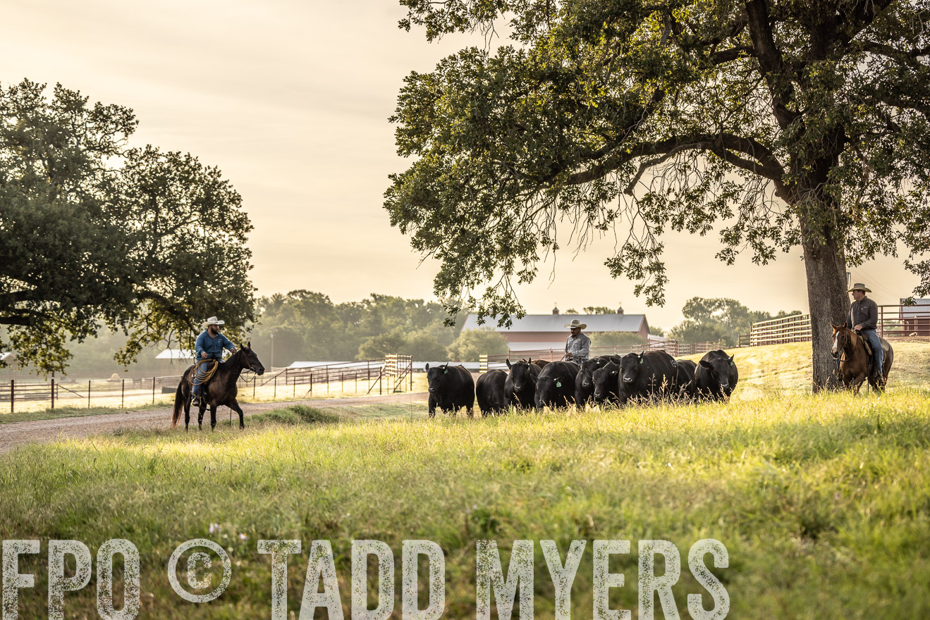 TMyers_Cameron_June2022-529773