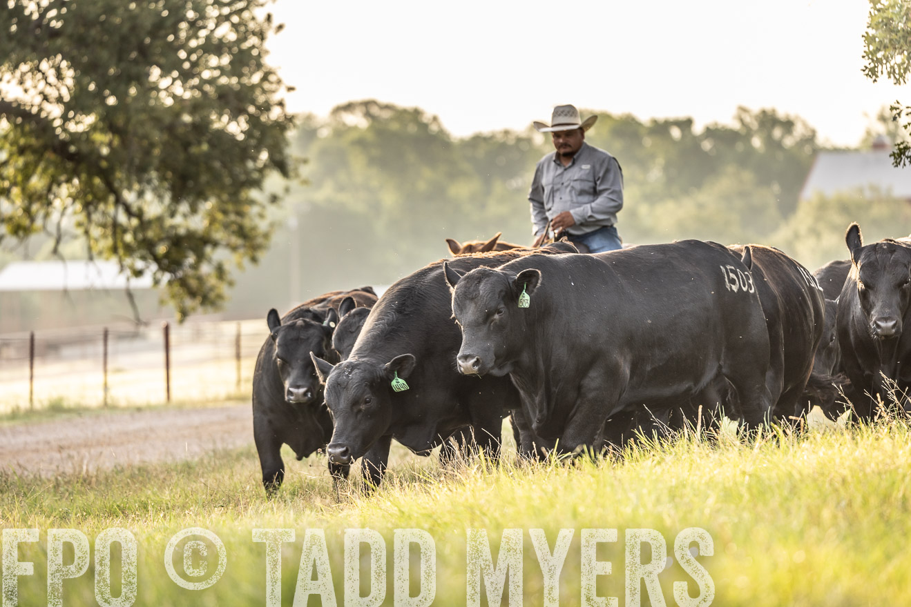 TMyers_Cameron_June2022-529794