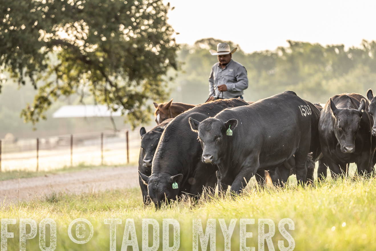 TMyers_Cameron_June2022-529797