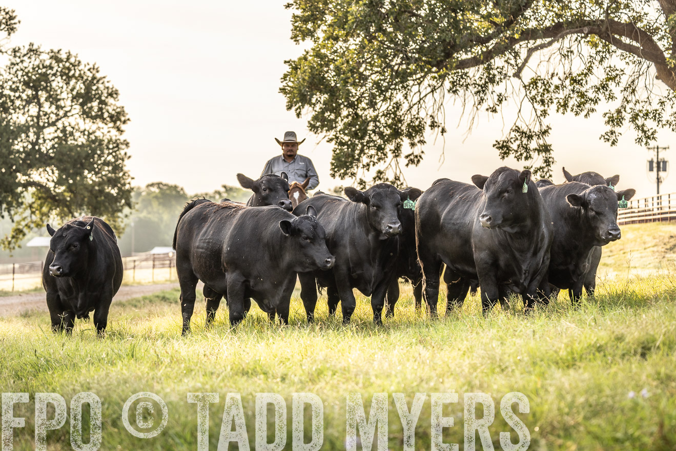 TMyers_Cameron_June2022-529801
