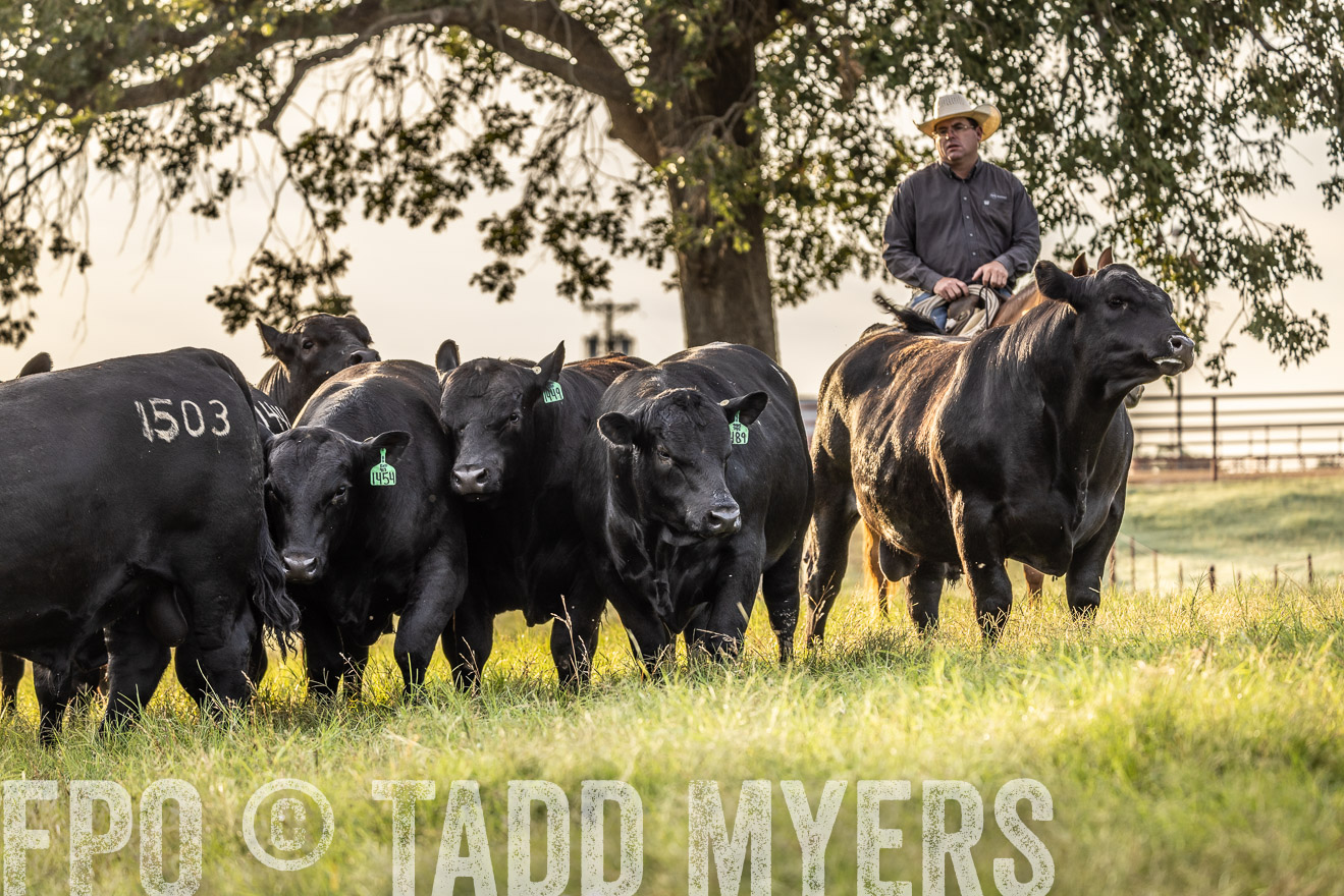TMyers_Cameron_June2022-529841