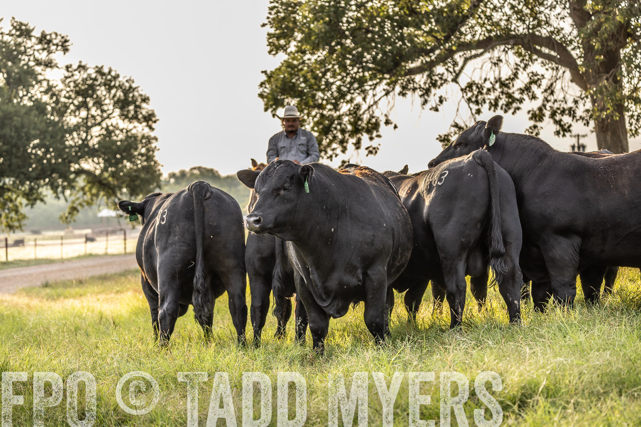TMyers_Cameron_June2022-529843