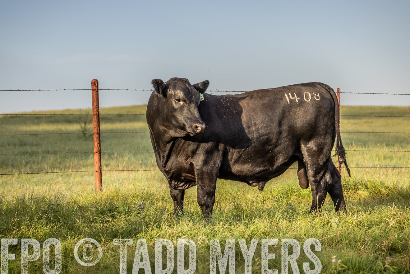 TMyers_Cameron_June2022-529850