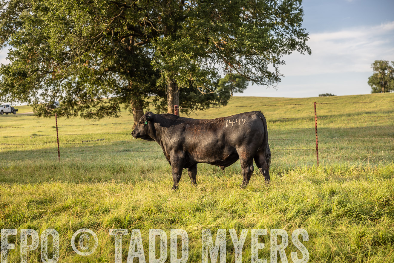 TMyers_Cameron_June2022-529880