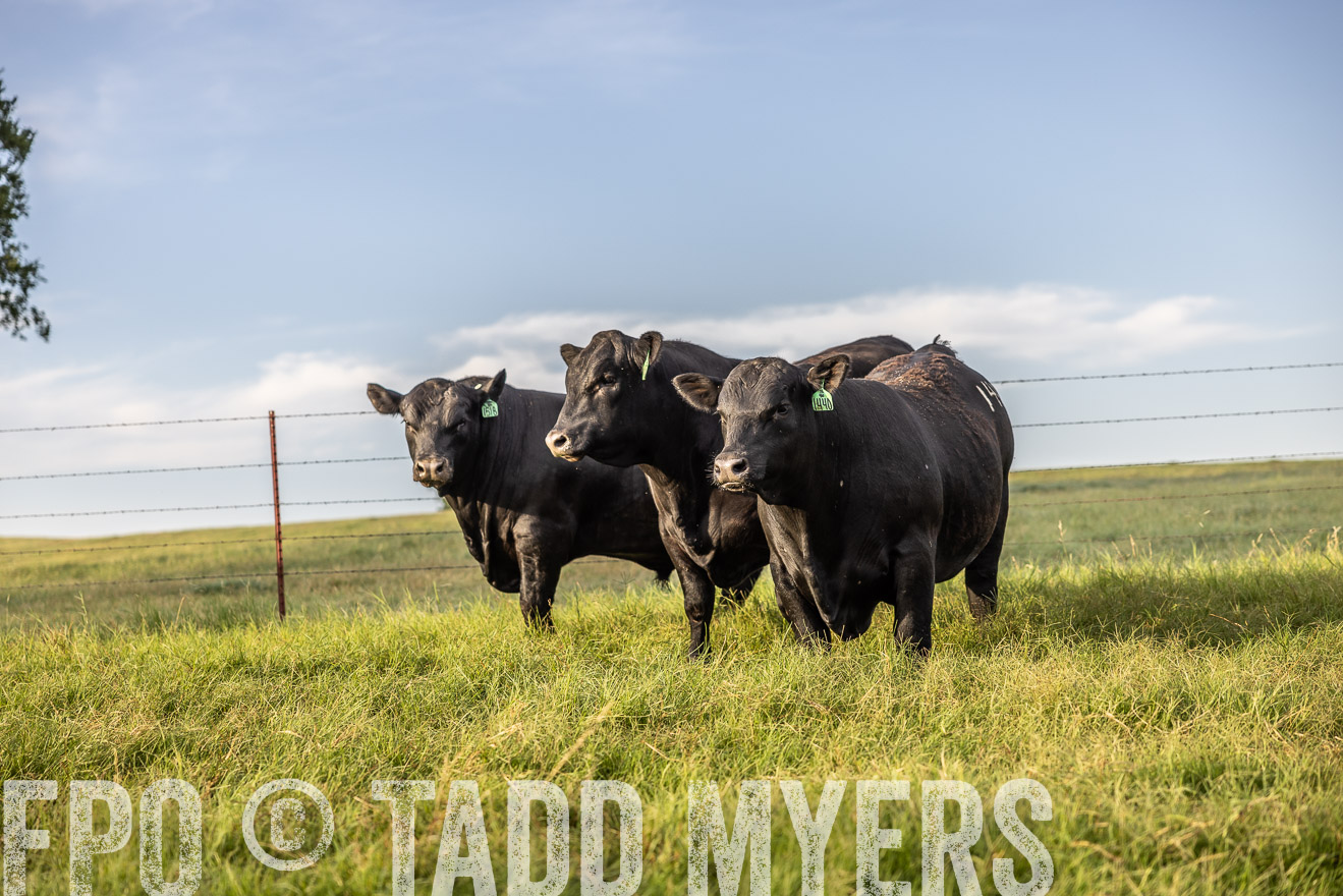 TMyers_Cameron_June2022-529970