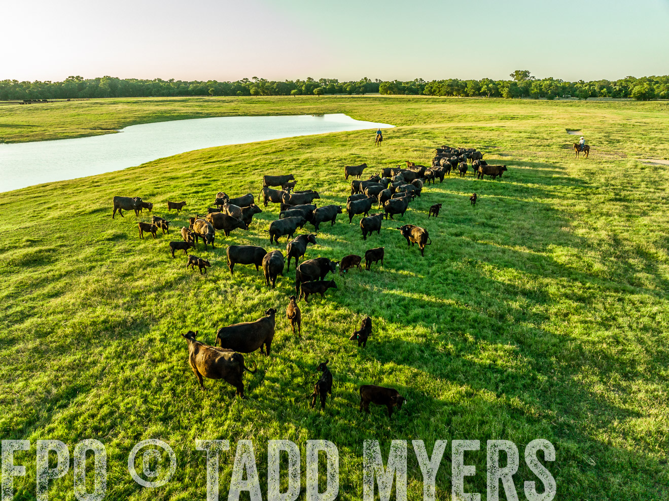 TMyers_Cameron_June2022-0075