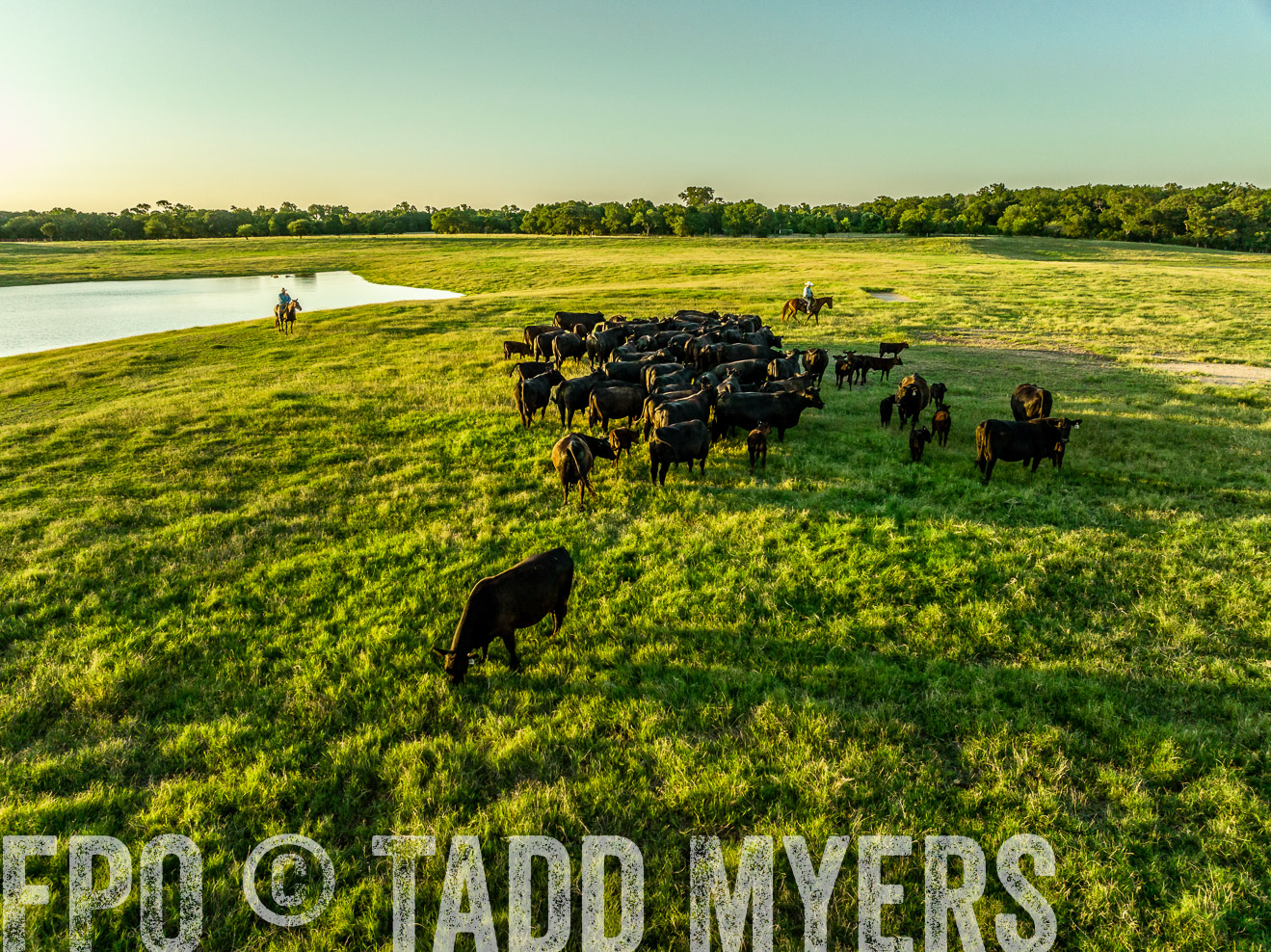 TMyers_Cameron_June2022-0148