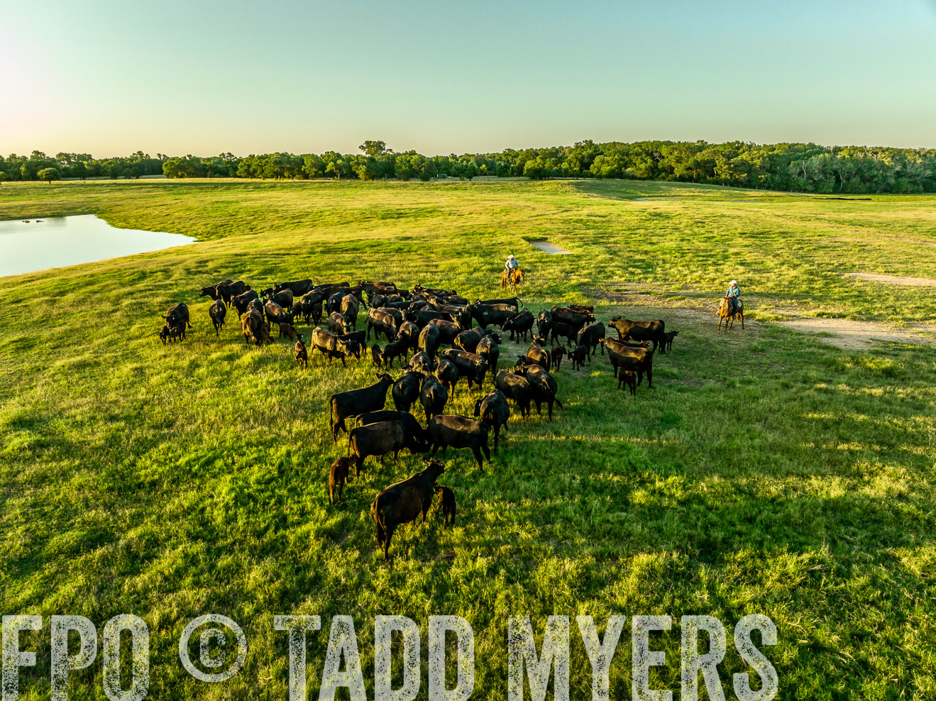 TMyers_Cameron_June2022-0159