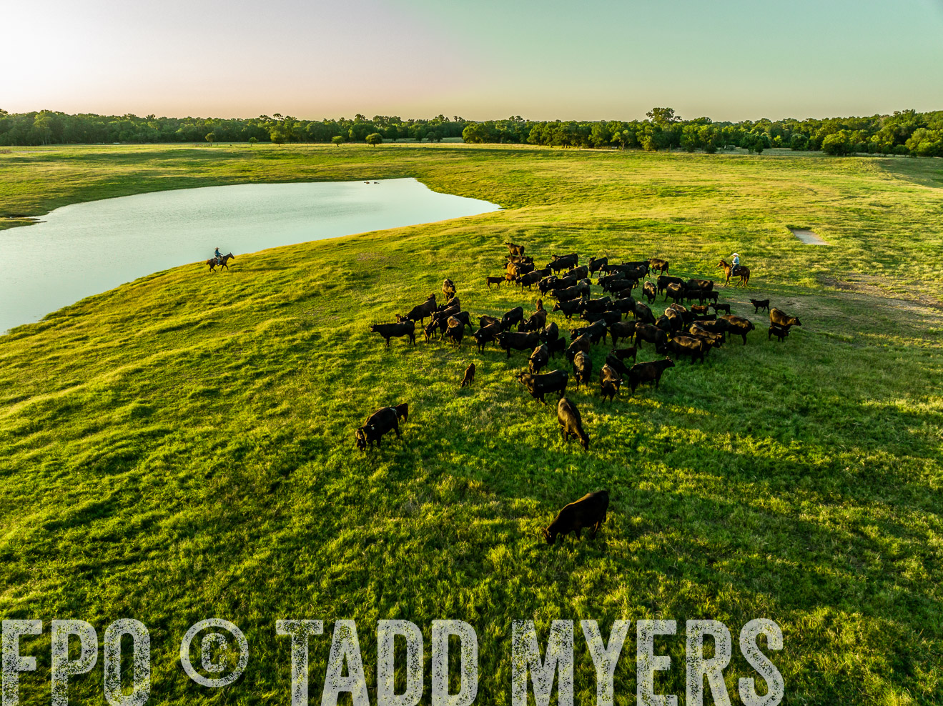 TMyers_Cameron_June2022-0183
