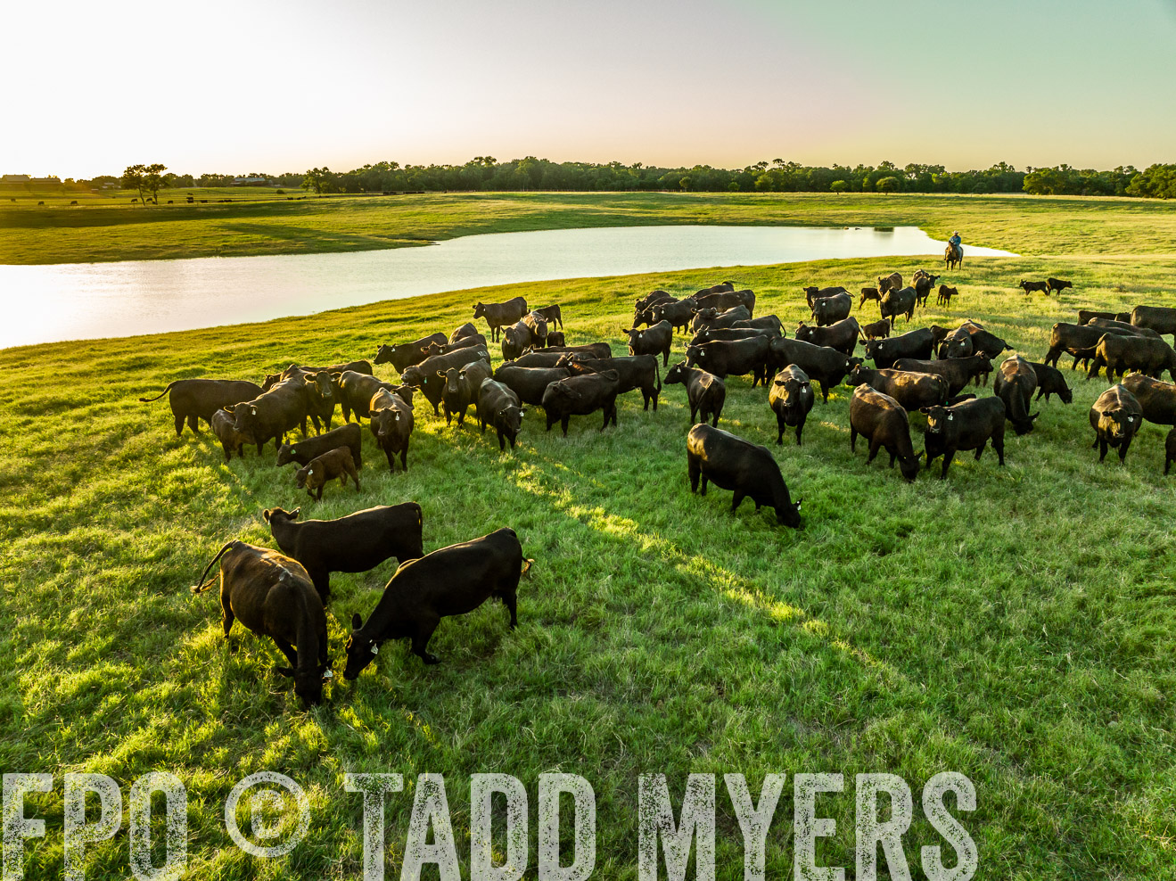 TMyers_Cameron_June2022-0212