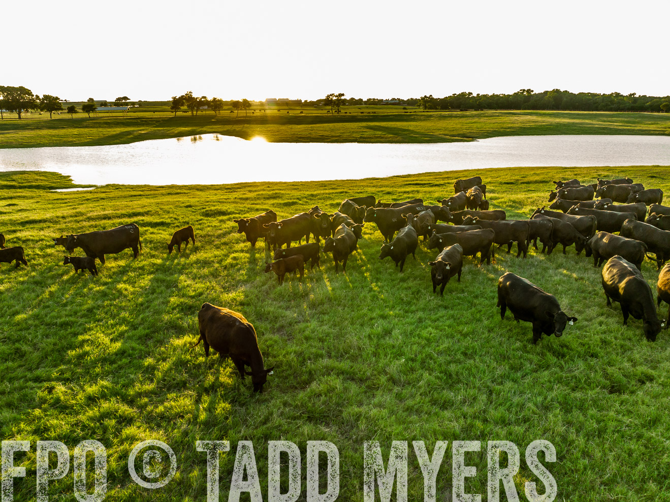 TMyers_Cameron_June2022-0219