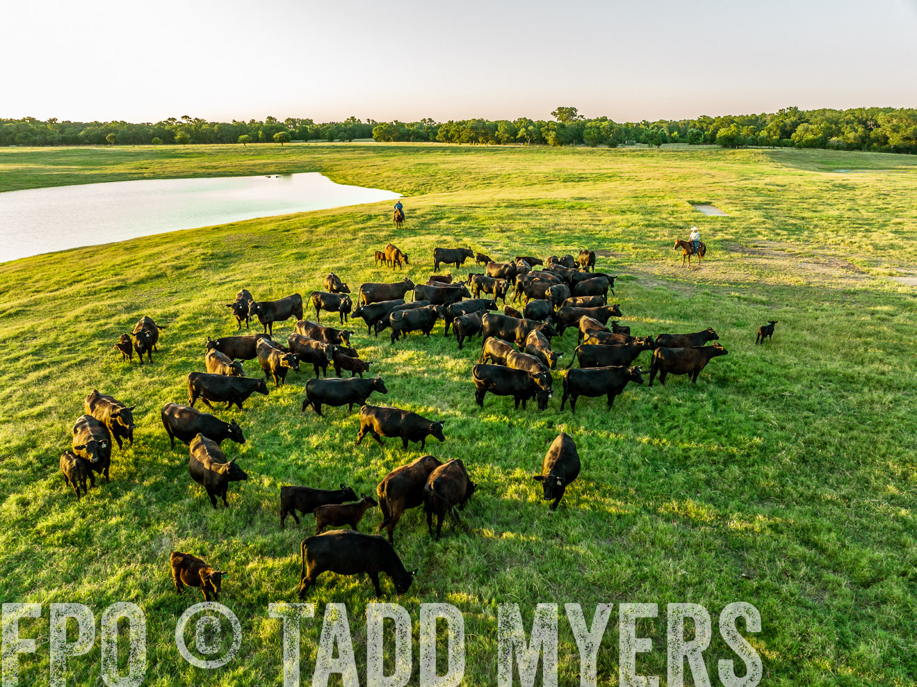 TMyers_Cameron_June2022-0244