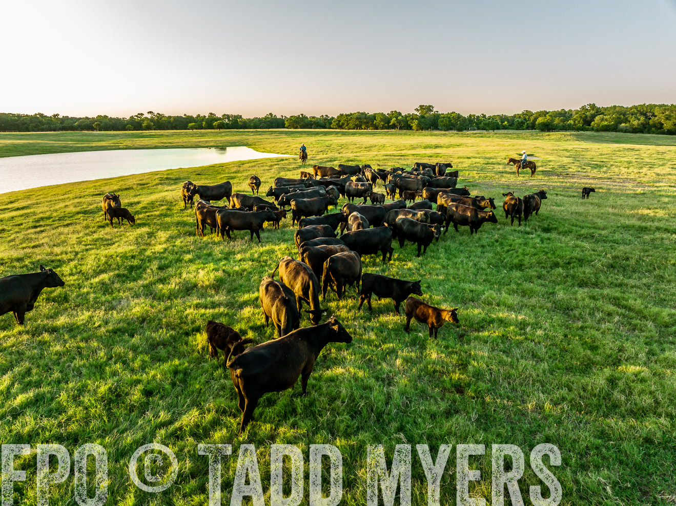 TMyers_Cameron_June2022-0265
