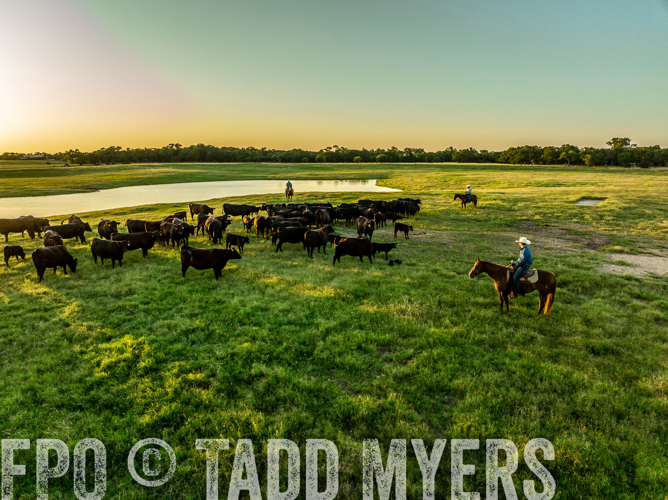 TMyers_Cameron_June2022-0290