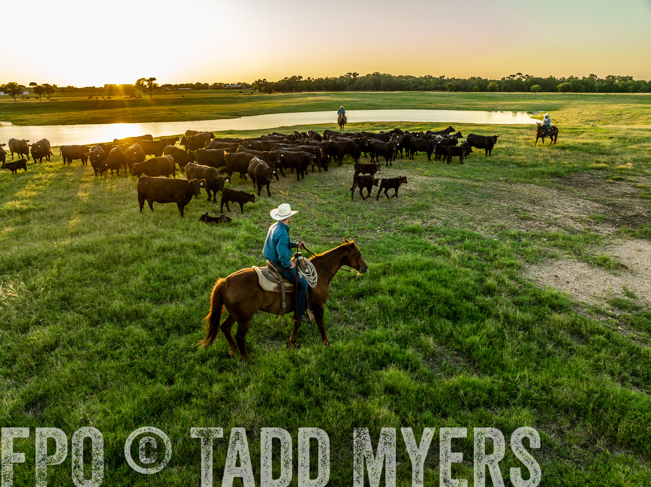 TMyers_Cameron_June2022-0315