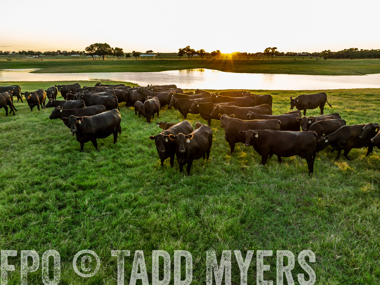 TMyers_Cameron_June2022-0359