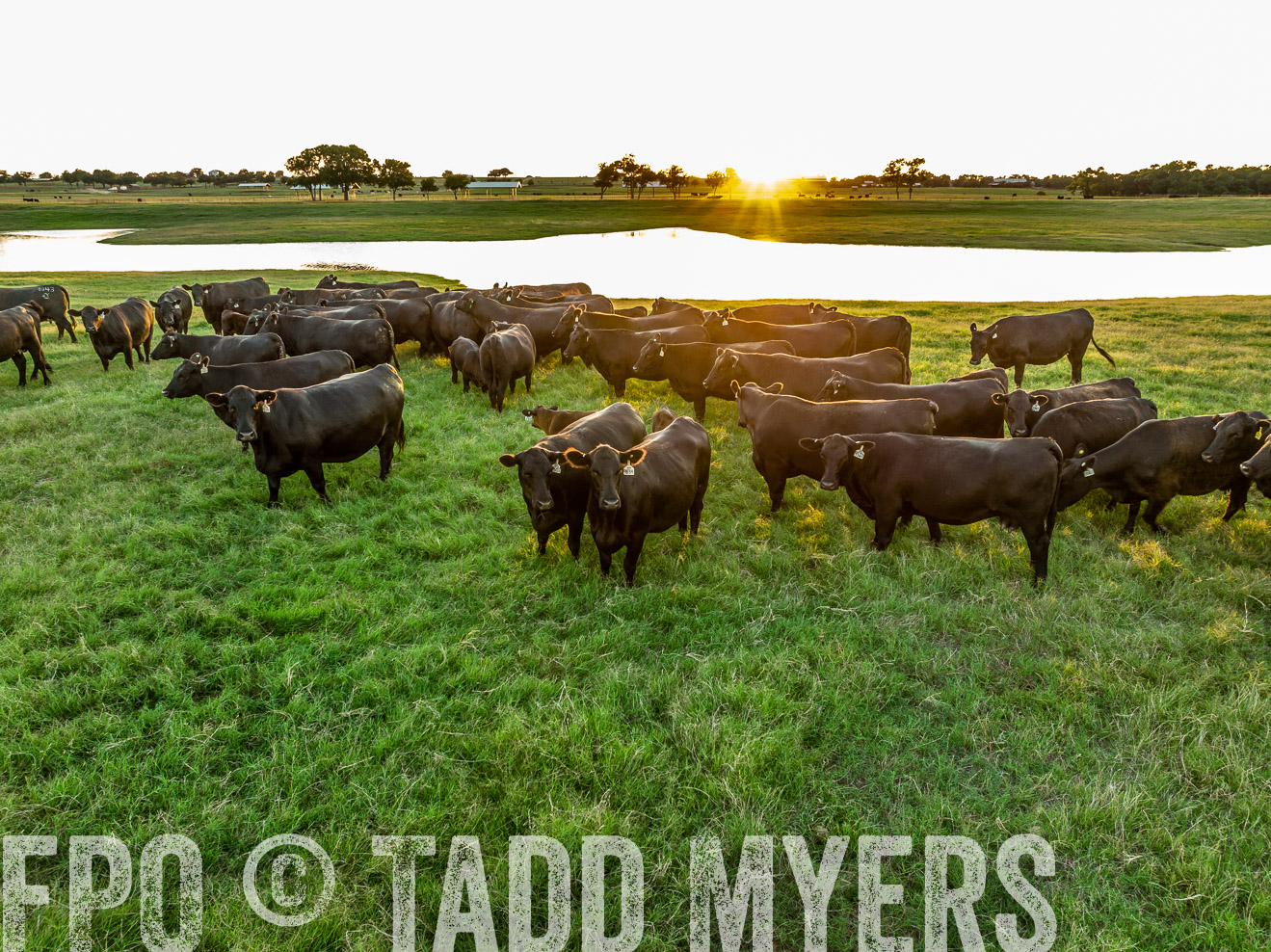 TMyers_Cameron_June2022-0360
