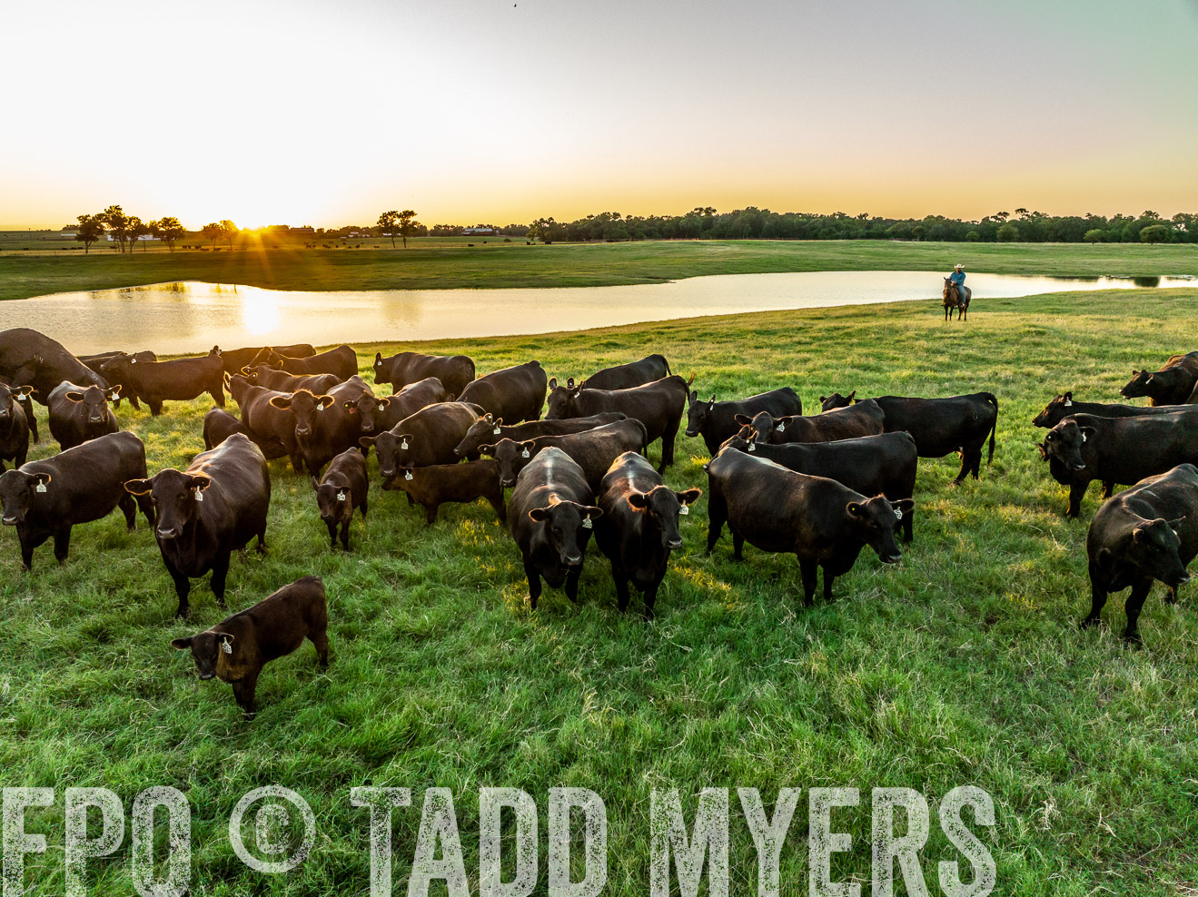 TMyers_Cameron_June2022-0365