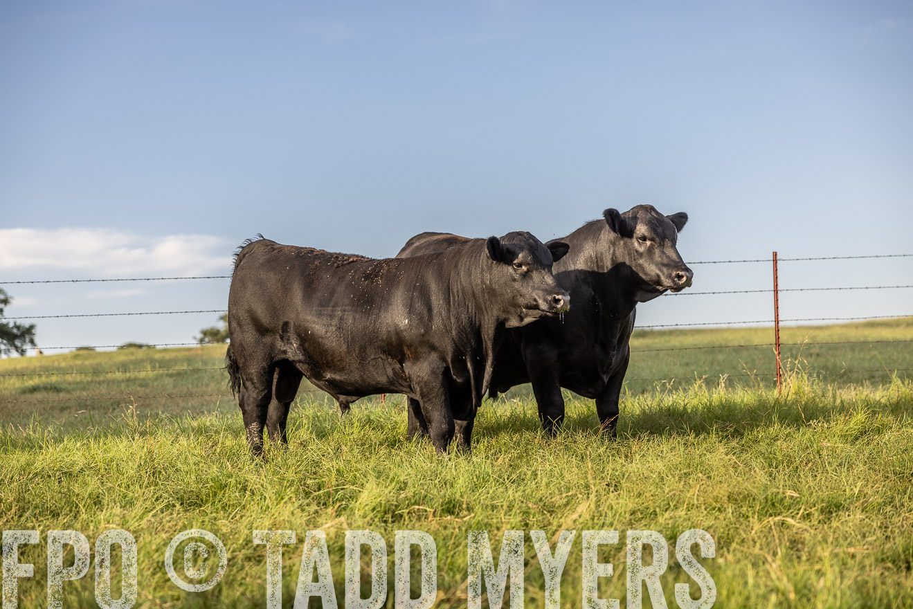 TMyers_Cameron_June2022-520140