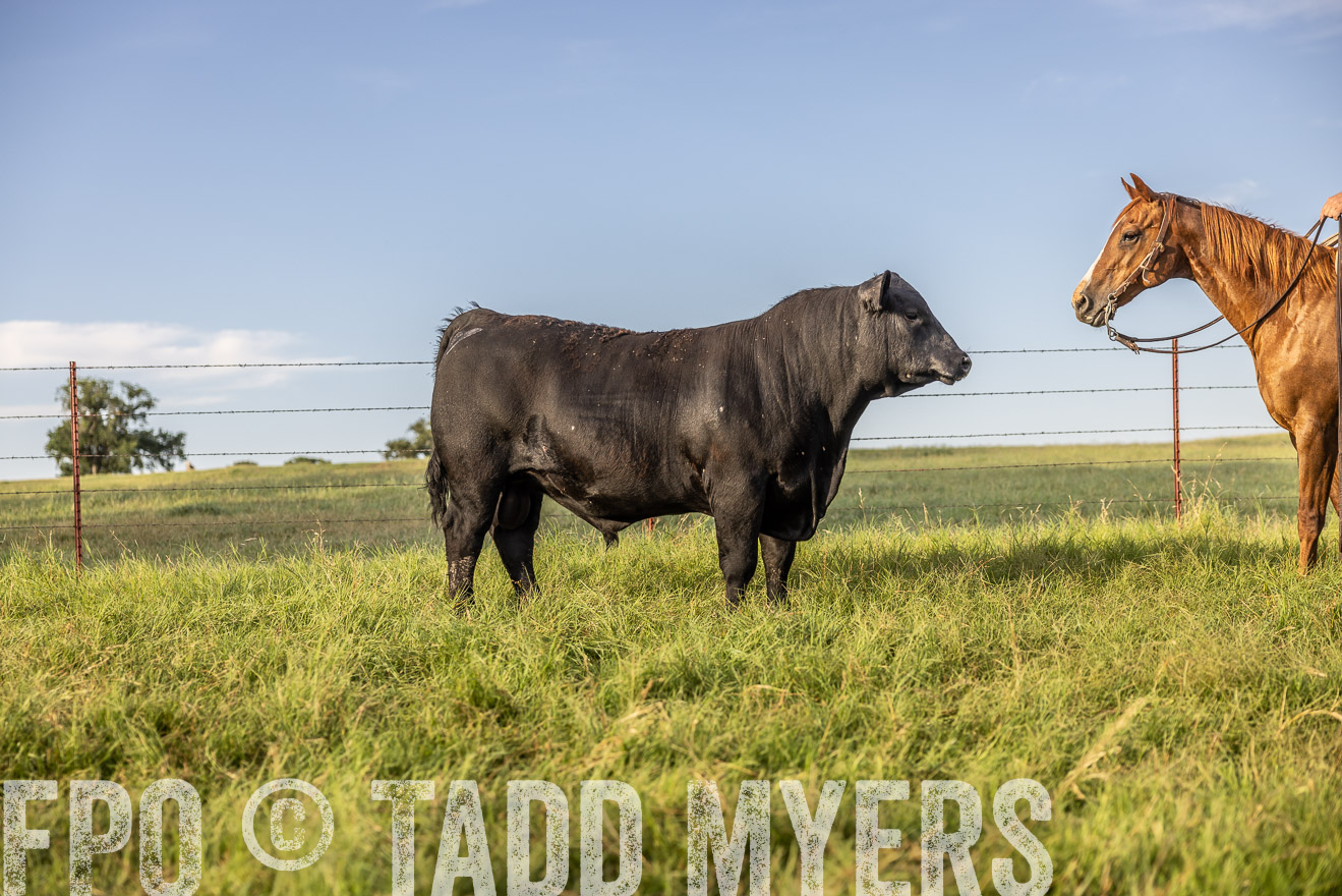 TMyers_Cameron_June2022-520228