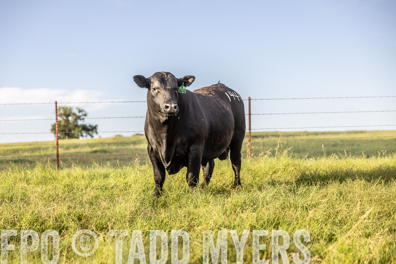 TMyers_Cameron_June2022-520293