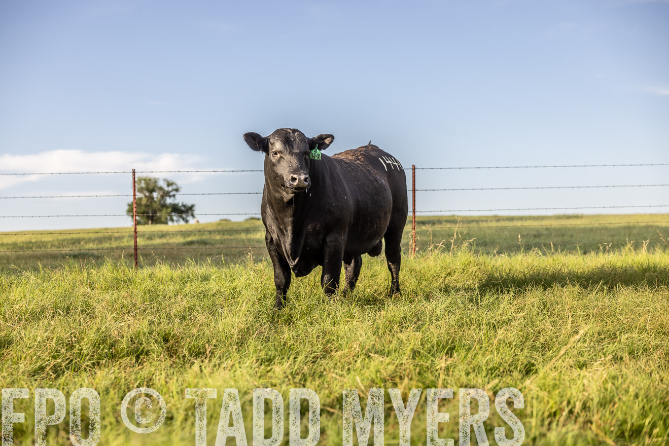 TMyers_Cameron_June2022-520303