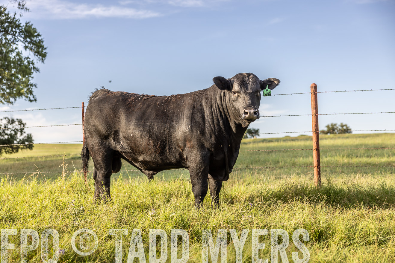 TMyers_Cameron_June2022-520331