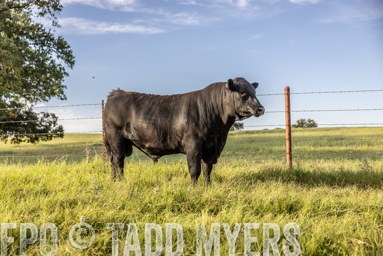 TMyers_Cameron_June2022-520334