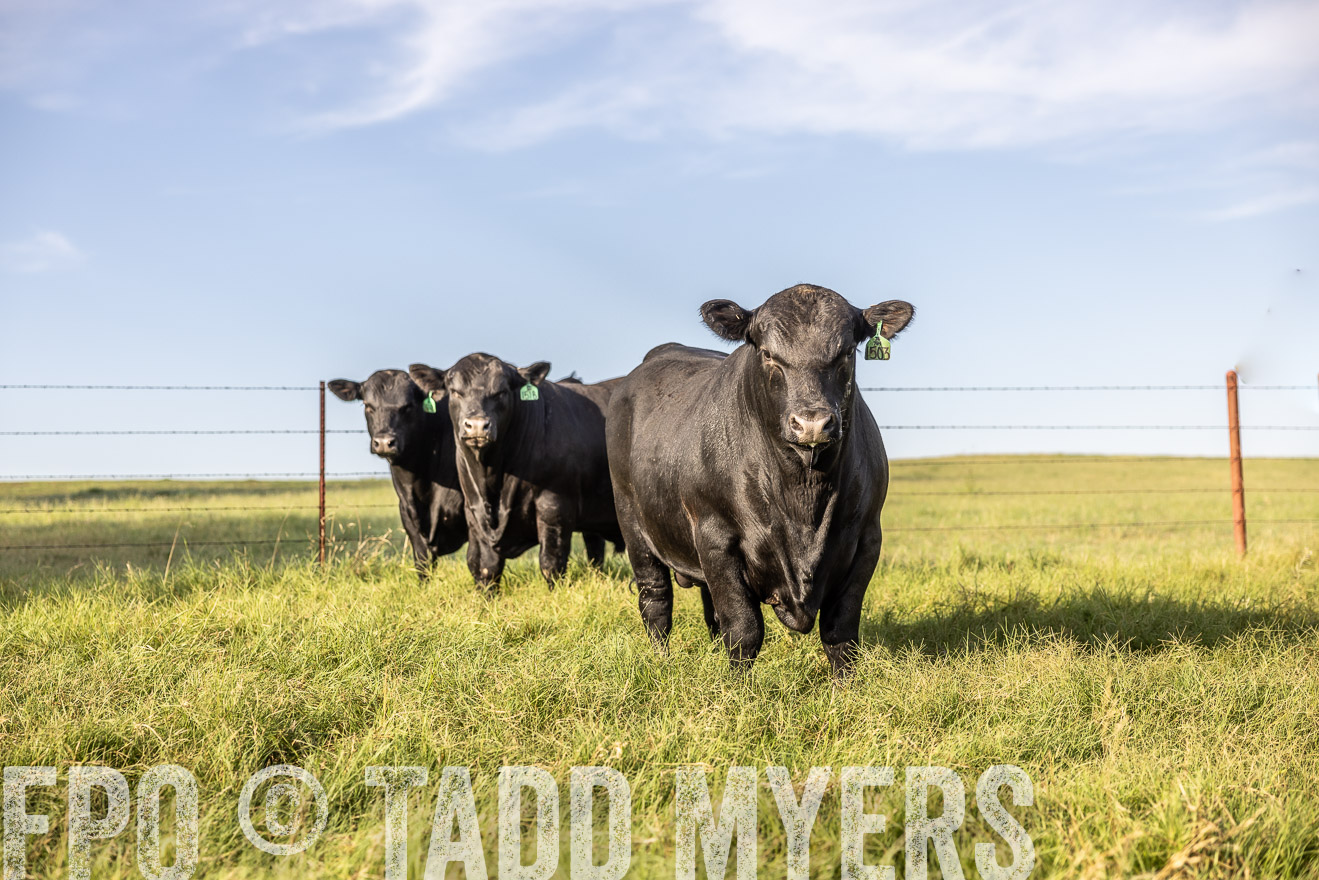 TMyers_Cameron_June2022-520402